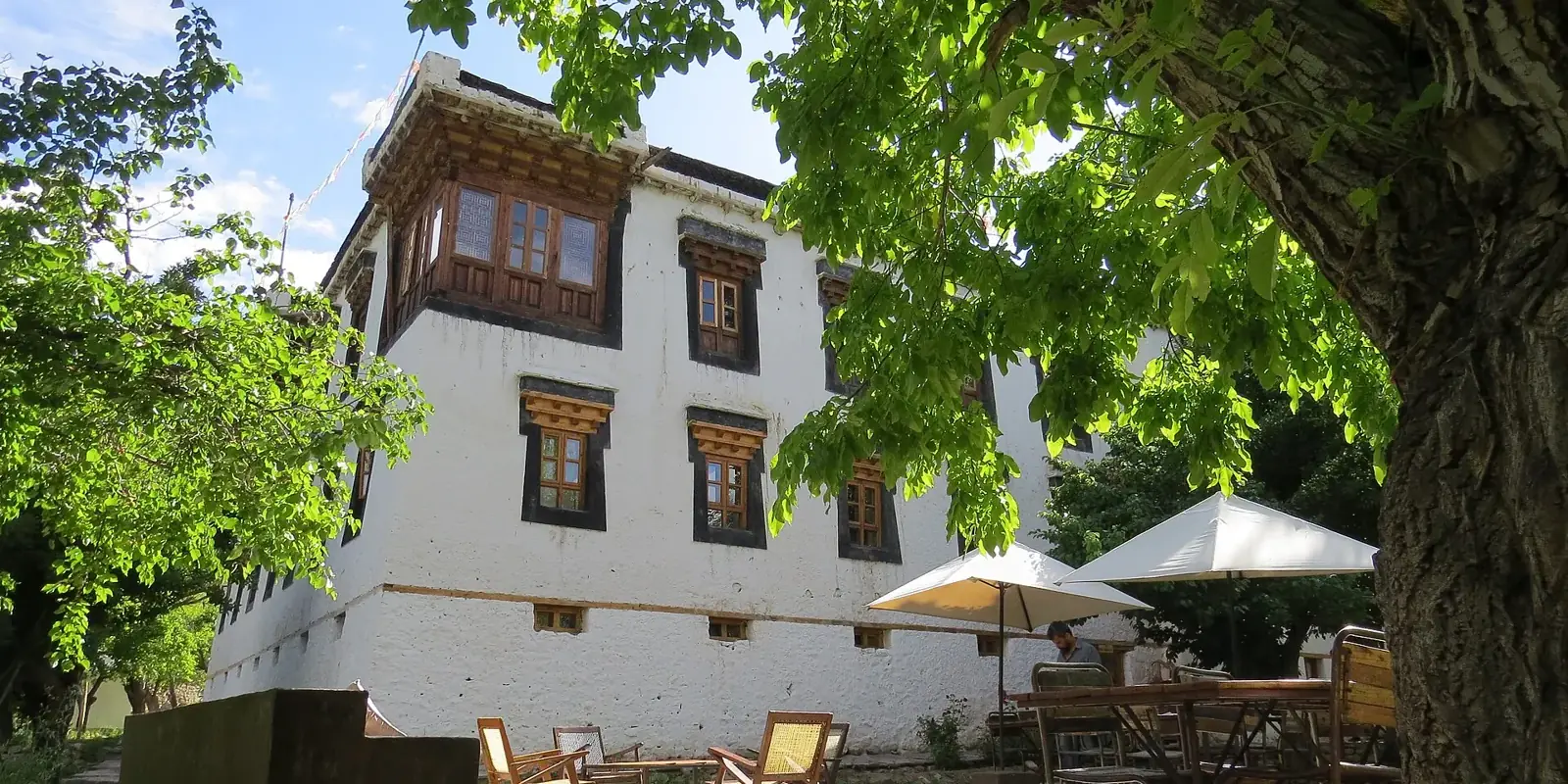 La casa ladakha imbiancata di Nimmu House con le finestre in legno scuro e la terrazza ombreggiata da un grande albero