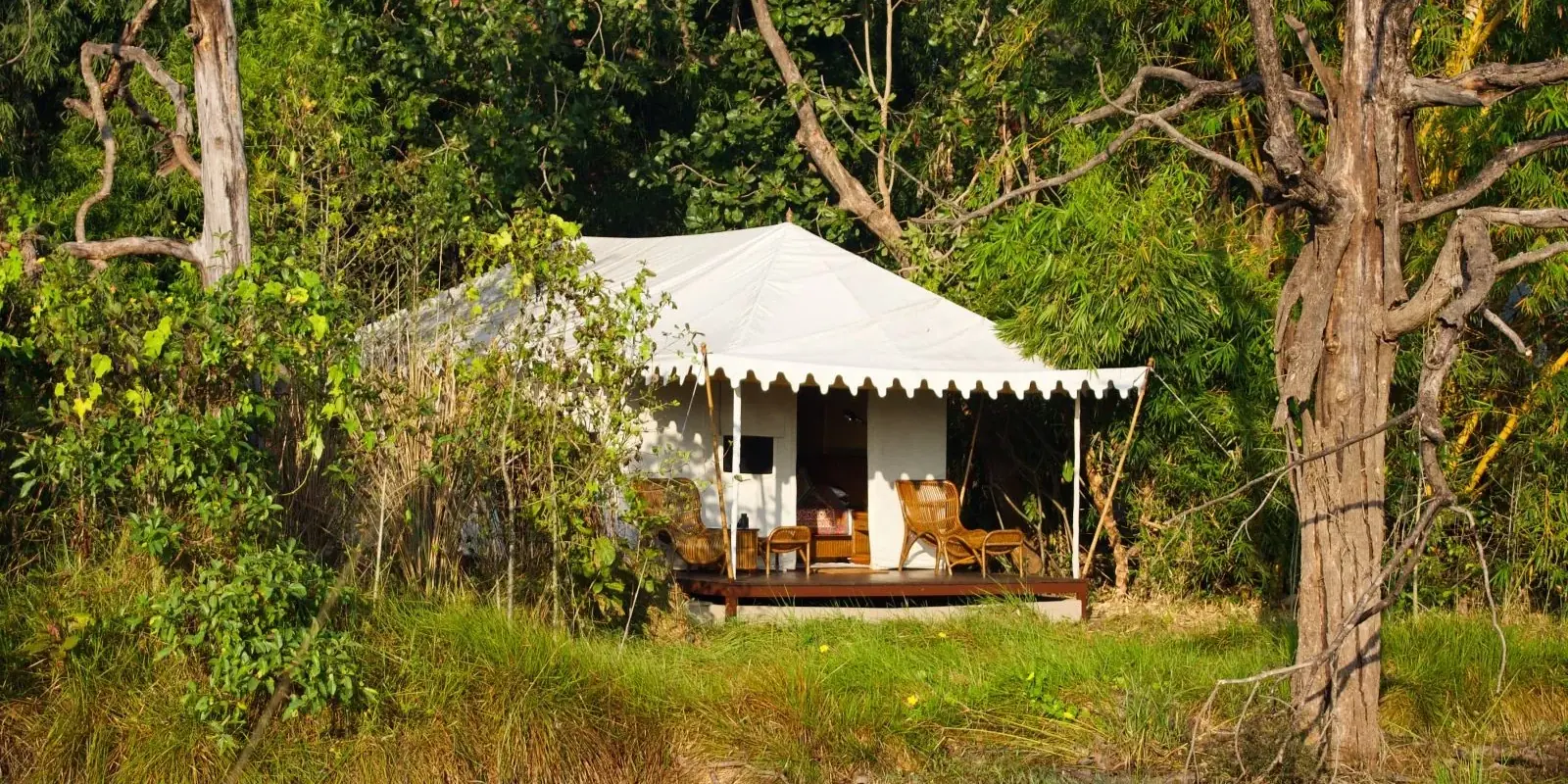 Una tenda Shikar del Bagh Villas, con la veranda di legno, nascosta nella vegetazione accanto al laghetto del campo