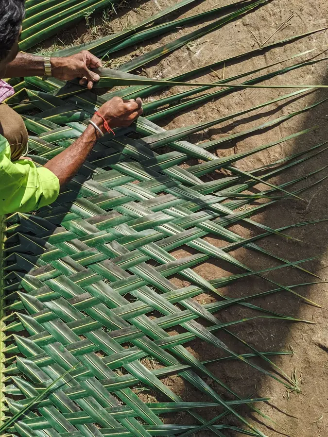 Mani che intrecciano foglie di palma di cocco in una stuoia verde