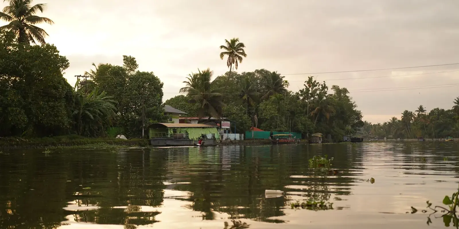 Le backwaters del Kerala nella luce morbida del primo mattino, con case e palme riflesse nell'acqua