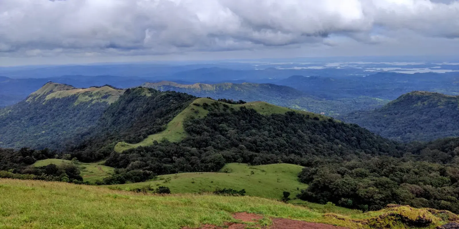 Praterie d'alta quota e creste verdi dei Ghati occidentali sotto un cielo di nuvole