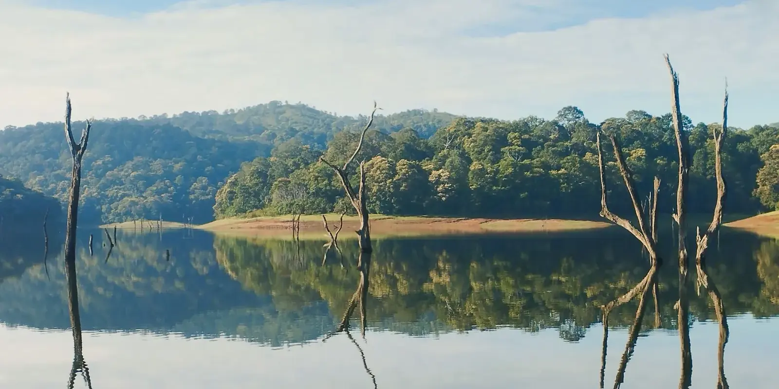 Il lago di Periyar con gli alberi morti nell'acqua e le colline coperte di foresta