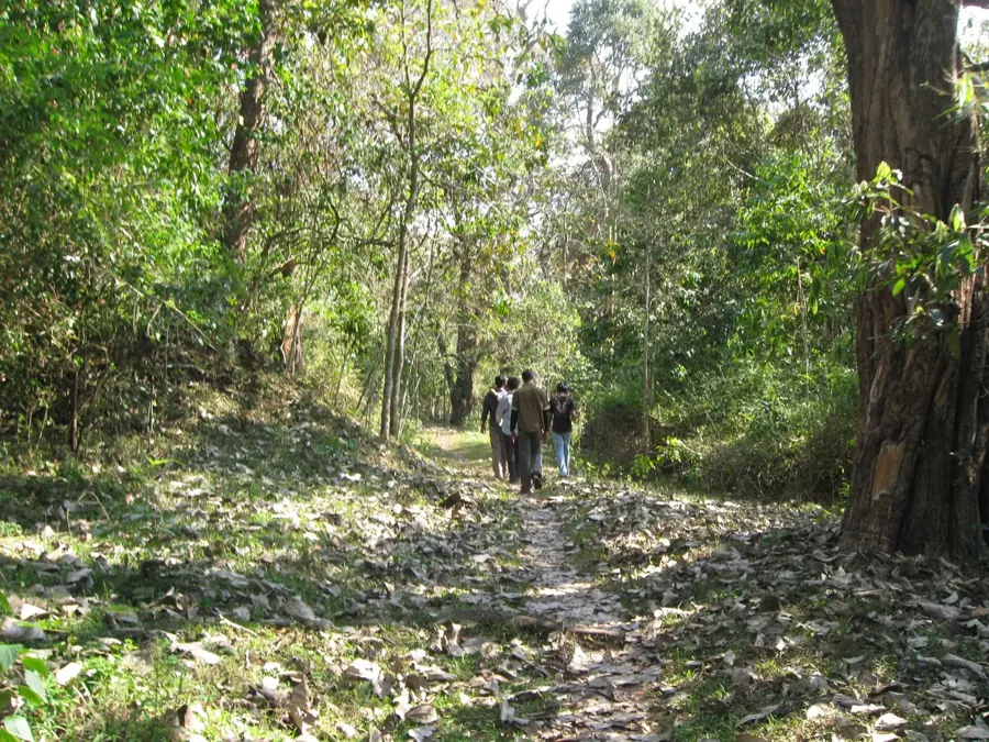 Piccolo gruppo con una guida che cammina su un sentiero nella foresta di Thekkady, nella riserva di Periyar