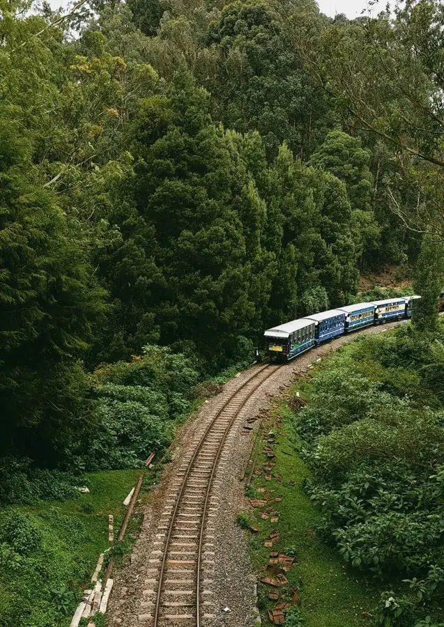 Il treno del Nilgiri visto dall'alto mentre curva nella foresta verso Ooty