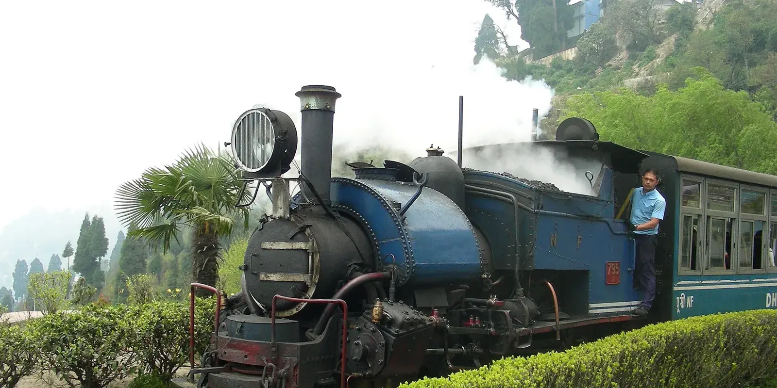 La piccola locomotiva a vapore blu del toy train di Darjeeling che sbuffa tra siepi e palme